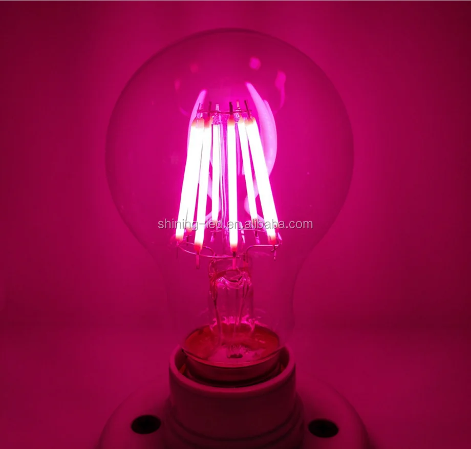 grow led filament bulb