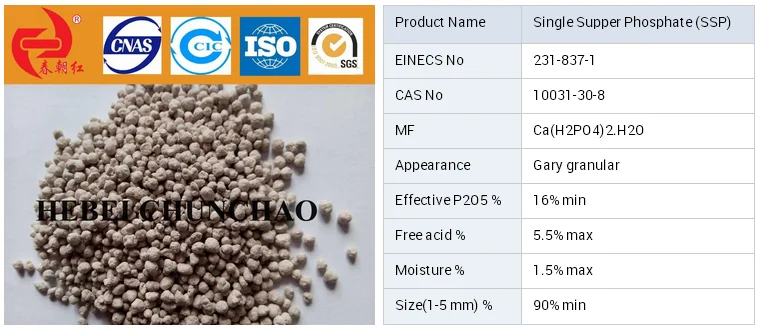 single super phophate ( SSP).png