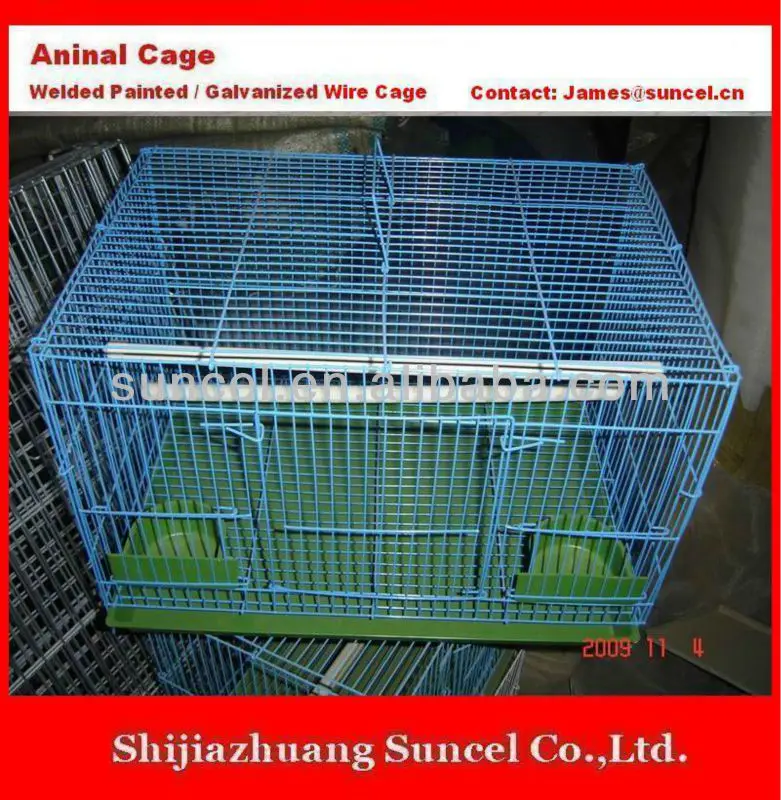 rats and cage for sale