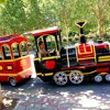 Crazy And Stimulate Theme Amusement Park trackless sightseeing train ride