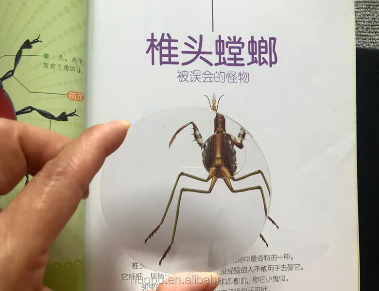 75mm biconvex lens (5).JPG