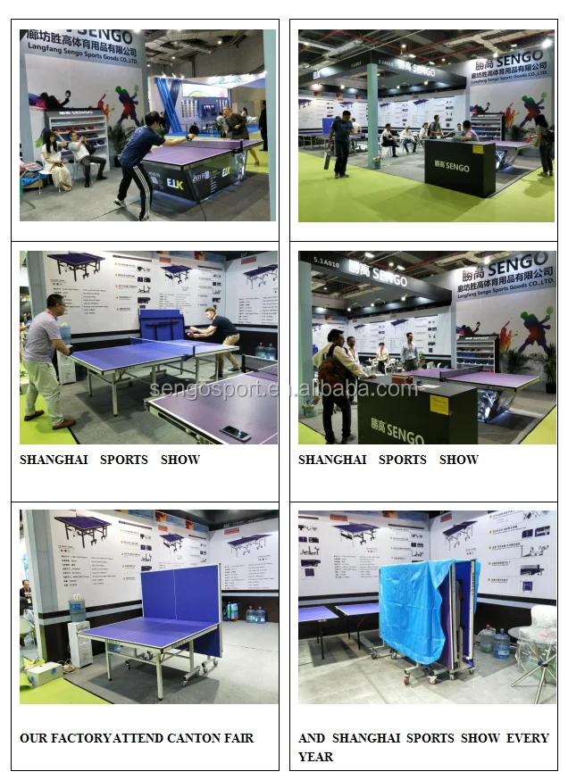 TABLE TENNIS TABLE SHOW