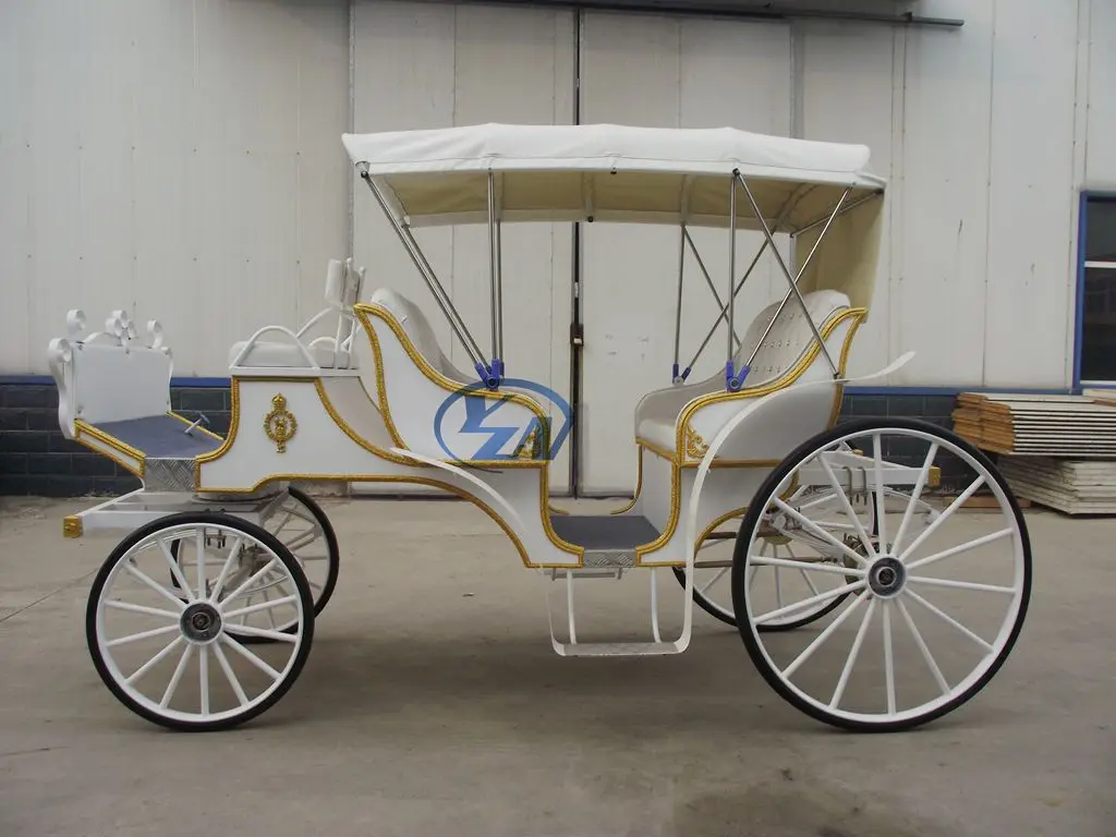 tourist carriage photos