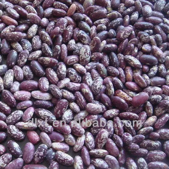 DSC03082 raw material.JPG