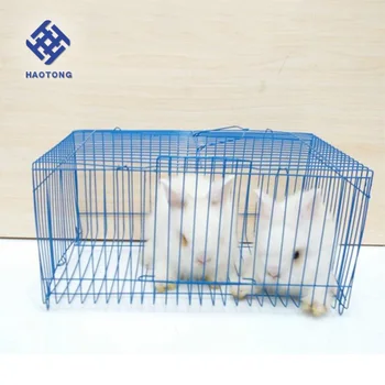 cage mouse