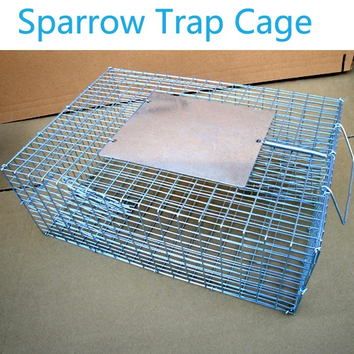 Live Bird Trap Cages For Sales Magpies Pigeons Sparrows Crows China