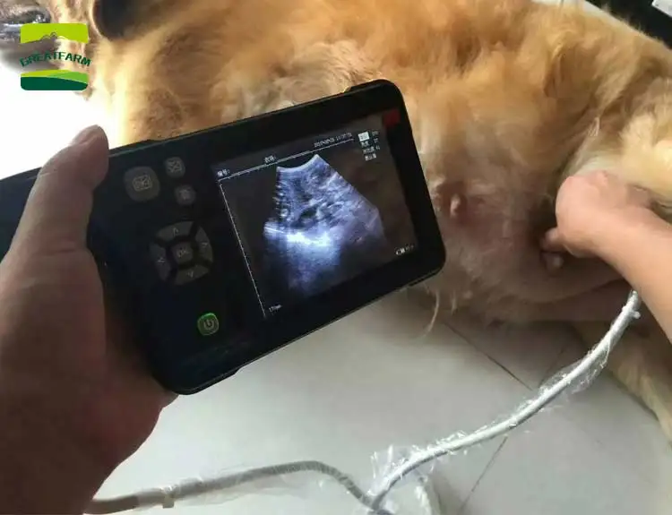 5 Inch High Definition LCD Screen Waterproof  Small Ultrasound Machine Portable Veterinary Ultrasound For Sale