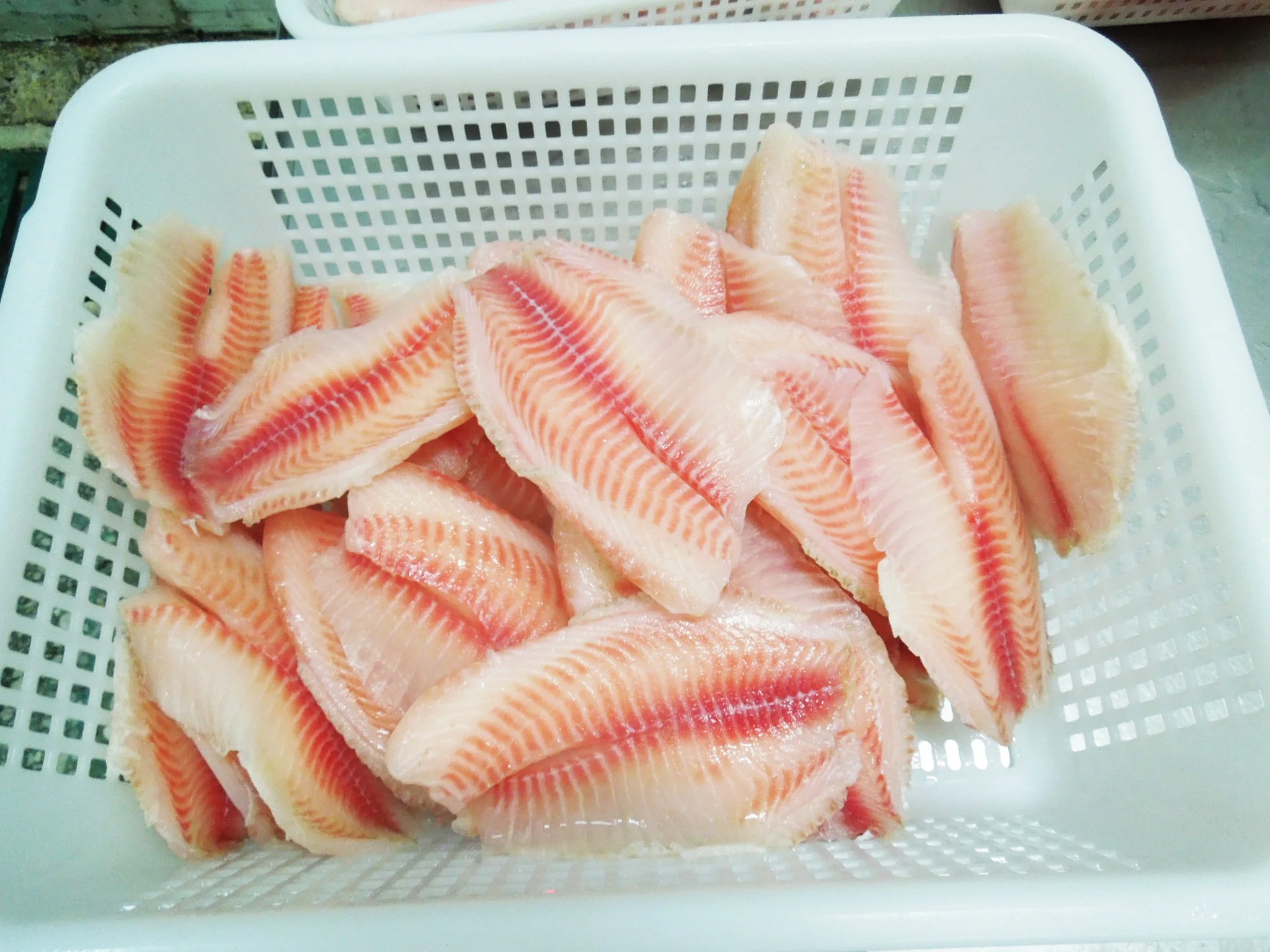 Fillet Tilapia Well Trim Buy Fillet Tilapia Well Trim,Tilapia Fillet