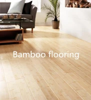 Solid-Bamboolarge_.jpg
