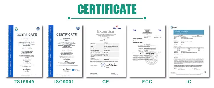 skylab certificate.jpg