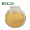 100% Pure Natural Top Quality Dried Orange Peel Powder
