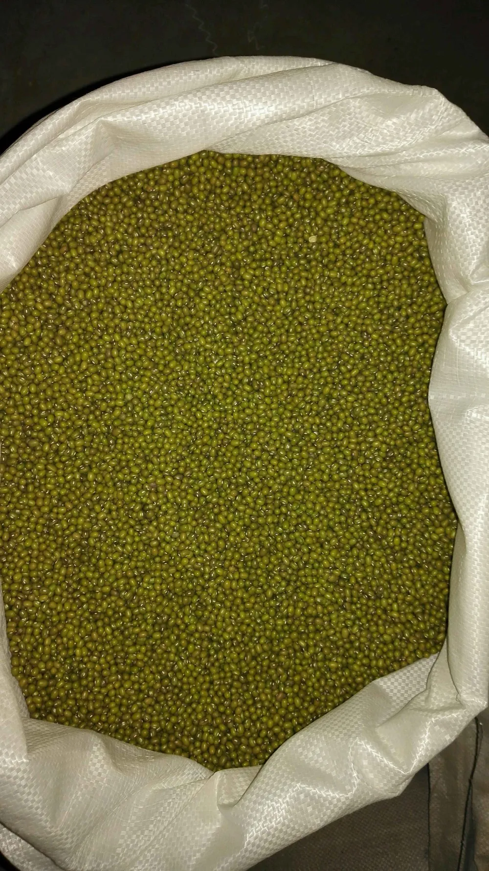 绿豆种子照片图片
