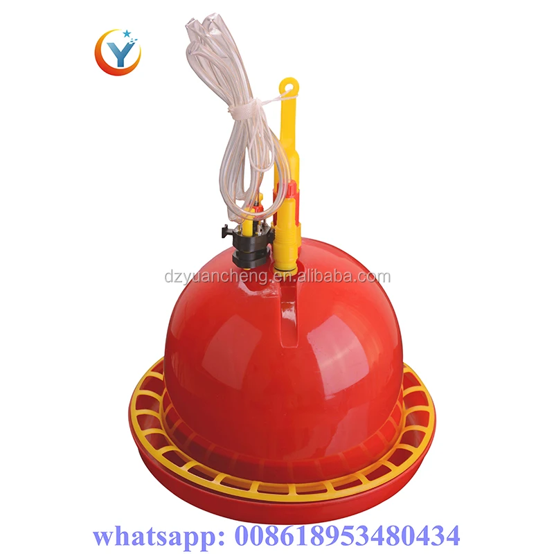 Automatic Bird Drinker Plasson Water Drinkers And Feeders For