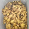 Chinese Original Fresh Ginger 2018 New Crop for sale