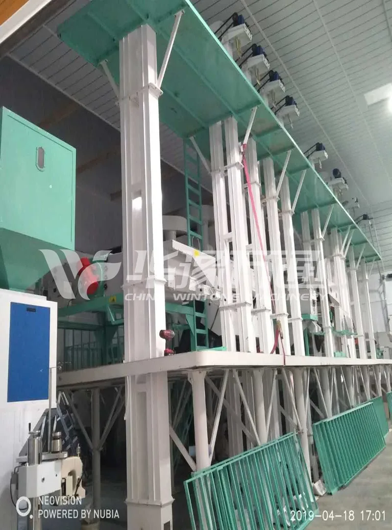 BeansPulses Cleaning Line.jpg