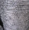 barbed wire. back and forth thorn rope