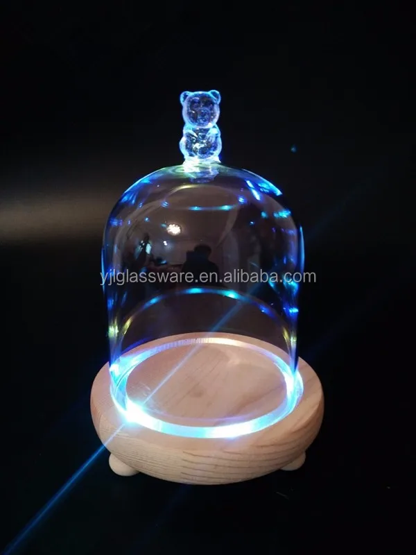 glass bell jar dome5