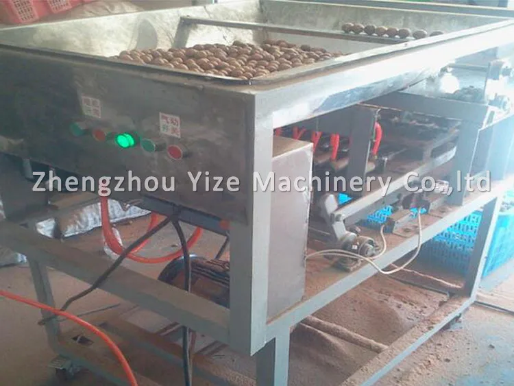 Low Damage Macadamia Nut Cracker Opening Machine Macadamia Nuts