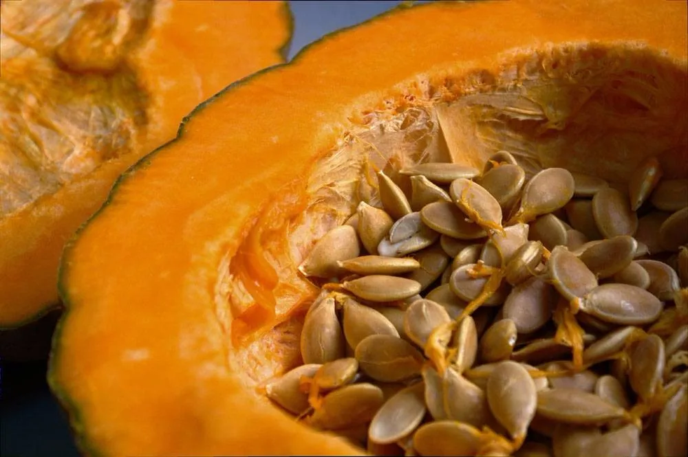 Pumpkin Seed Extract 25 Fatty Acid Powder Buy Pumpkin Seed,Fatty