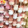 sea shell craft of shape of bud, rose, rabbit and lotus root for curtain decoration