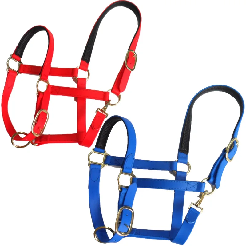 1'' Wide Strap Pvc Halter Normal Style With Zinc Alloy Buckle - Buy Pvc ...