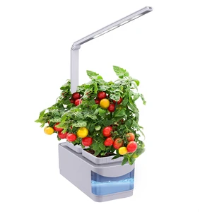 Hydroponic Growing System Kit Smart Flower Vases Indoor Garden With Led Grow Light