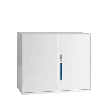 High Quality Metal 2 Swing Door File Cupboard Filex File Cabinet