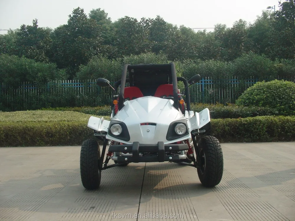 
2 seat dune buggy 