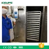100KG Foods Quick Cooling Vacuum Cooler Machines for Processed Beef/Soybeans/Pie/Vegetables