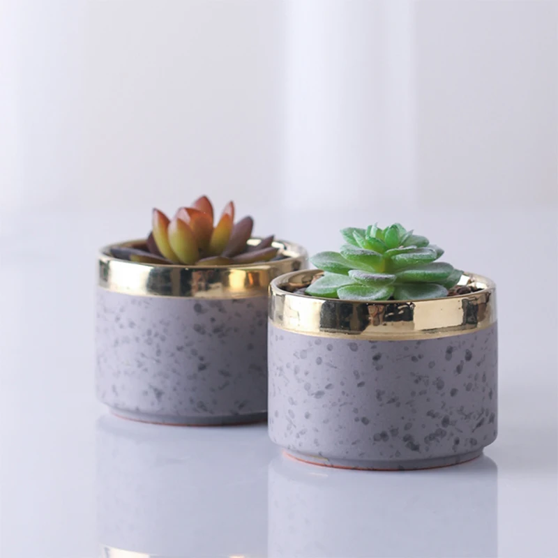 

Hot Selling Mini Ceramic Pot with Plastic Succulent Plants, N/a