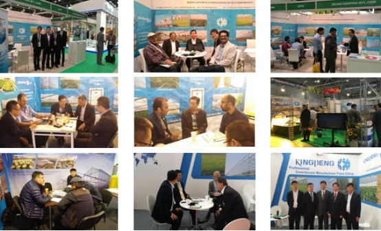 paste-pic-dp_uuid_ay0pq