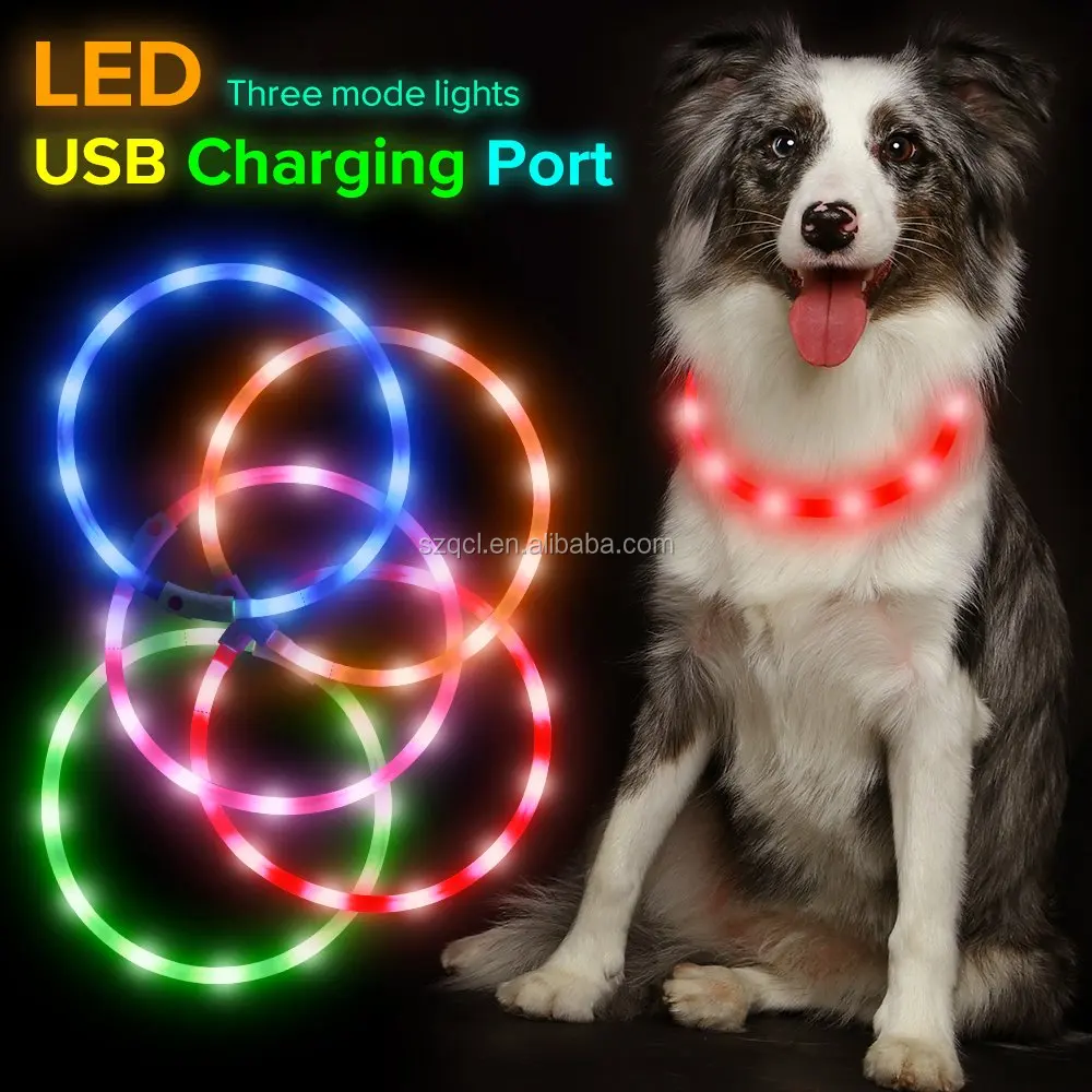 LED dog collar (21).jpg