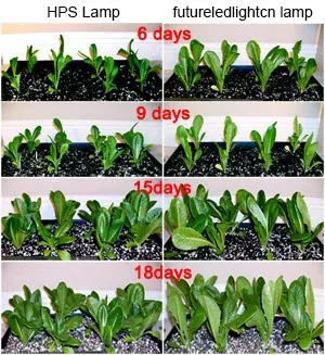 10w cob grow led chip , full spectrum 380nm~840nm full spectrum led grow light for plant grow fast and better