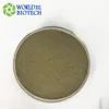 Hot sales plant extract Aspen bark extract/Ratio 10:1 20:1/Treat liver problem Free sample