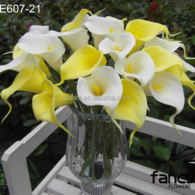 planting calla lily
