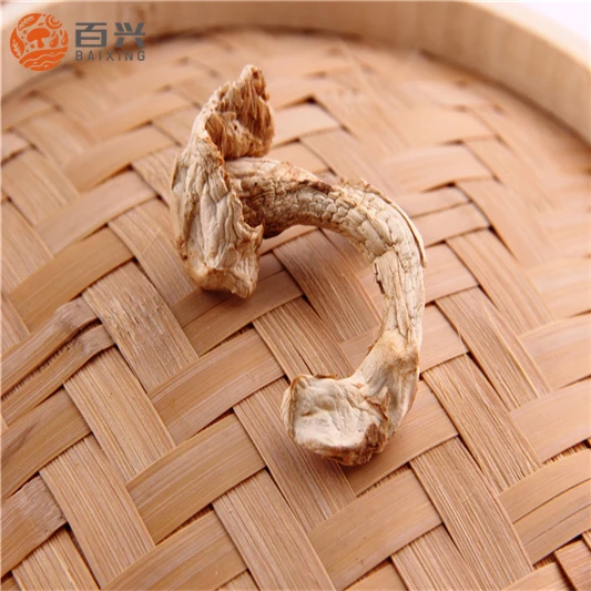 
Sell Fresh Matsutake Mushroom Sliced 