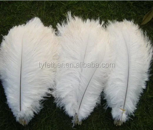 white ostrich plumes wholesale