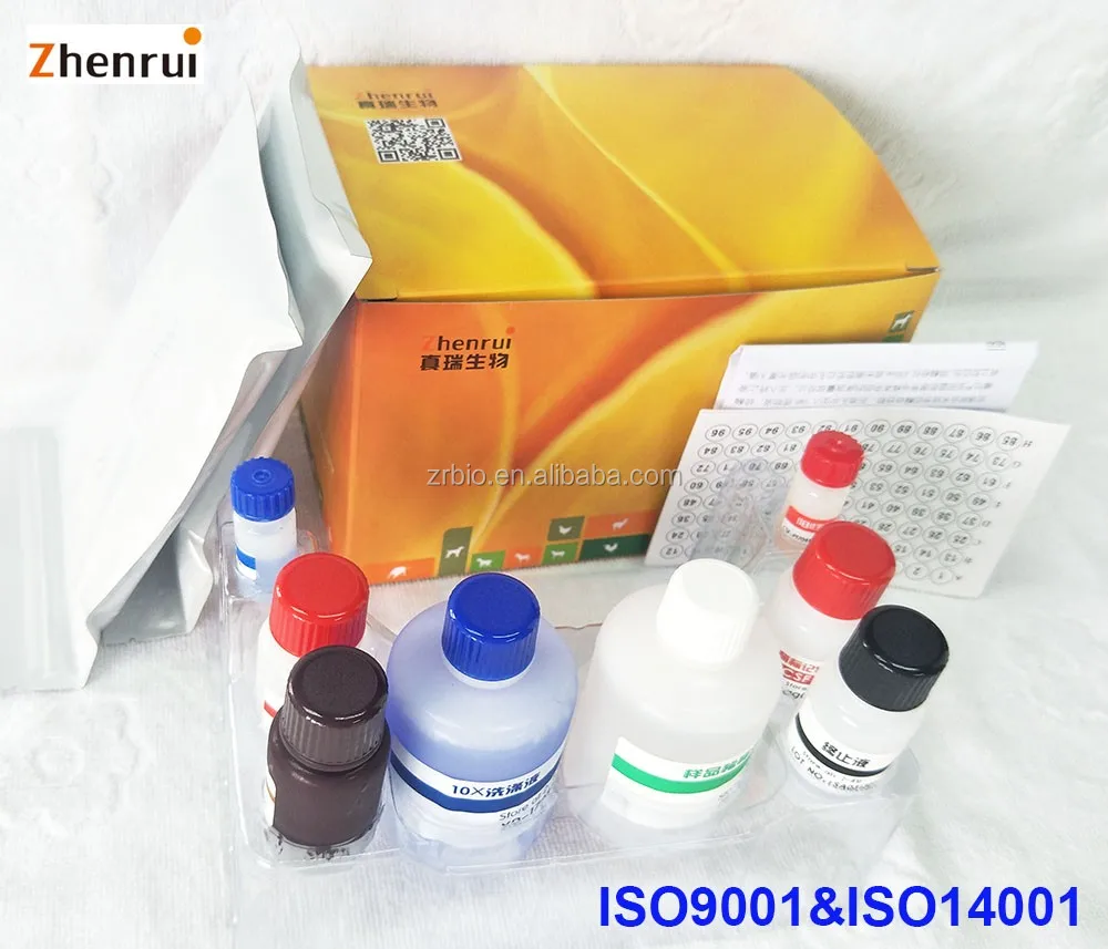 
Veterinary rapid Porcine Circovirus PCV2 ELISA Kit 