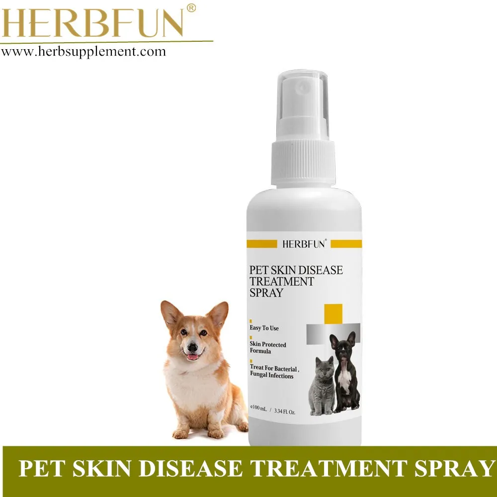 best topical itch relief for dogs