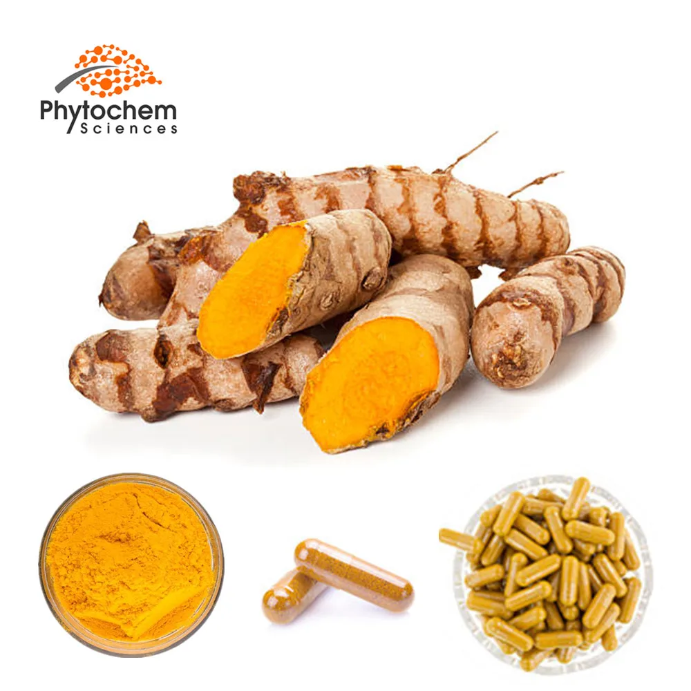 100 Natural Hplc 95 Usp Turmeric Root For Curcumin Powder Curcuma Longa Buy Organic Turmeric