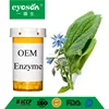 Eyoson OEM enzyme borage Multi & Prenatal Vitamins Supports thyroid hormones Ultimate support for metabolic enhancement
