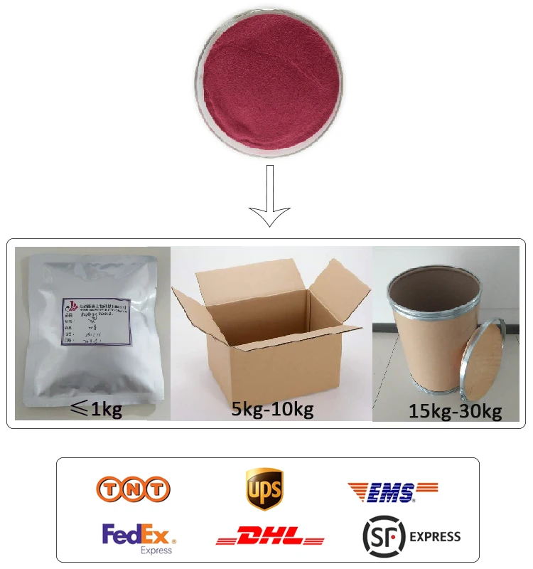 dietary supplements freeze dried dragon fruit powder Pitaya extract.jpg
