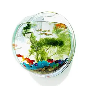 Image of AAT-315 Wall Mounted Acrylic Fish Bowl Tank,Mini Wall Hanging Acrylic Aquarium