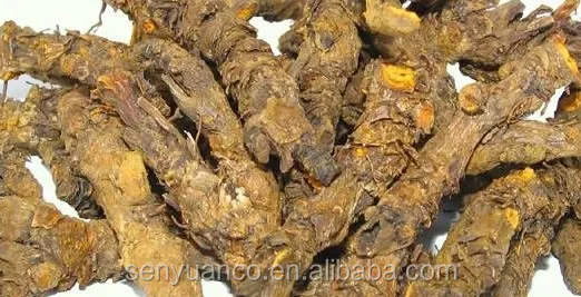 
Top quality Coptis chinensis extract as berberine 