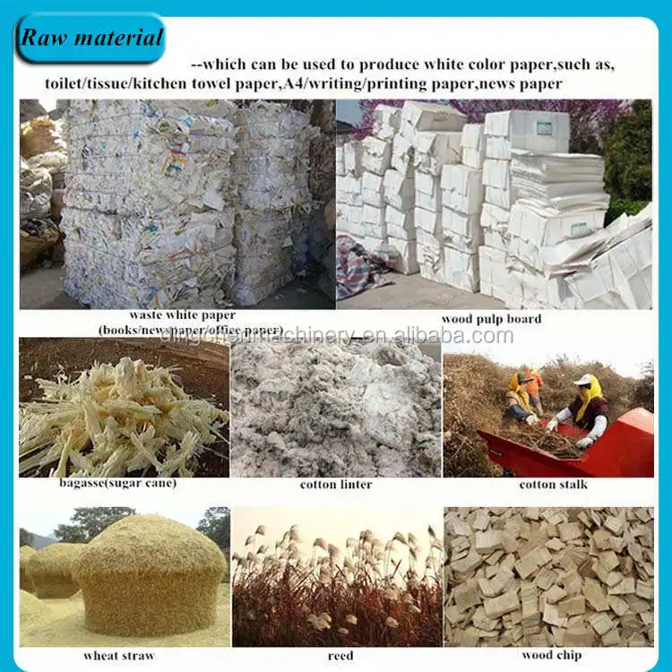 raw material of white paper.jpg