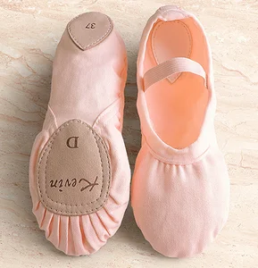 Danyiballet Elastic Ballet Shoes Without Drawstring Slippers Dance Shoes for Adult