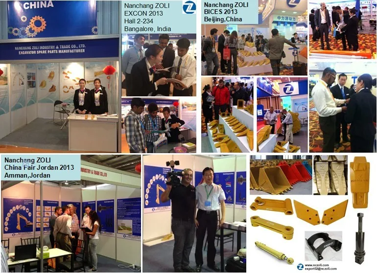 2013 Exhibition Of ZOLI