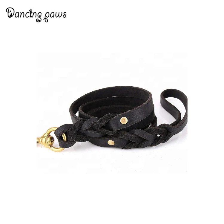 dog leash