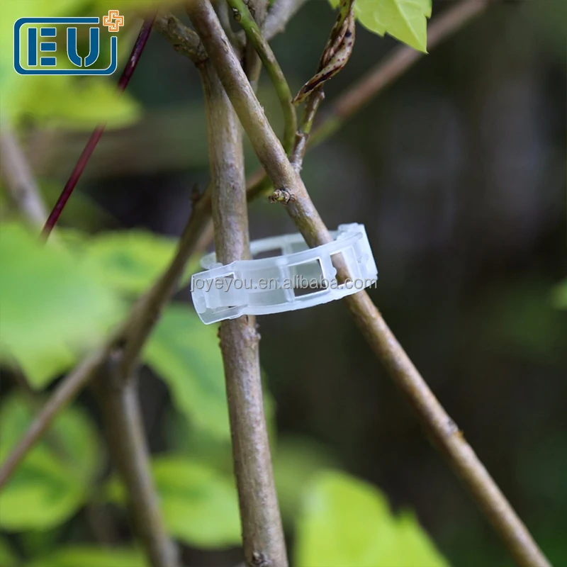 China Newest High Quality Plastic Grafting Vine Tomato Clip for tomato with High Quality