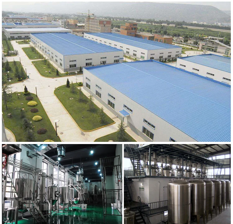 Pure Natural green tea extract cosmetic grade EGCG Powder.jpg